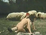 Yunani Vintage Domba Padang Rumput Seks
